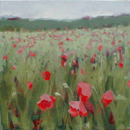 Poppy Field Near Ford 1