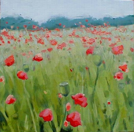 Poppy Field Near Ford 3