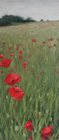 Poppies in May (1)