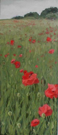 Poppies in May (2)