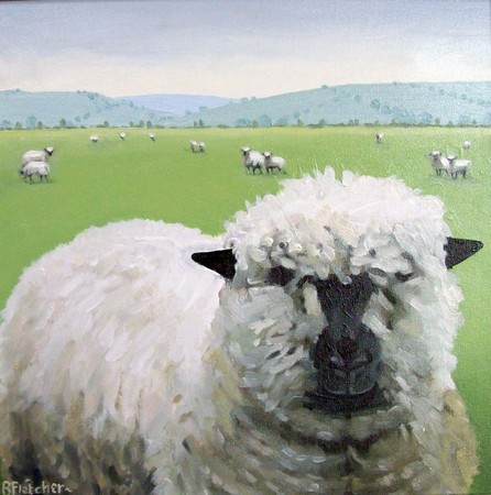Wilstrop Sheep (1)