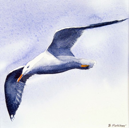 Seagull 3