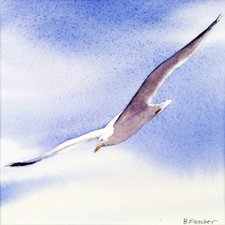 Seagull 1