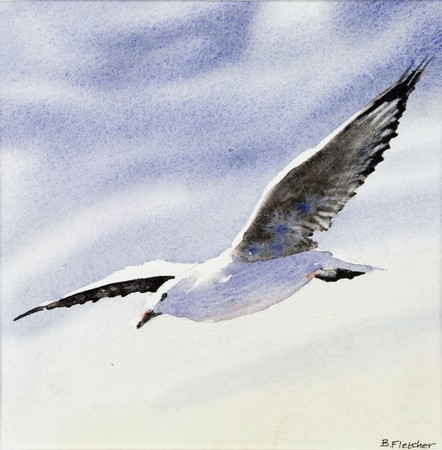 Seagull 2