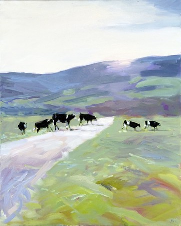 Cows on Castlemorton Common 1.