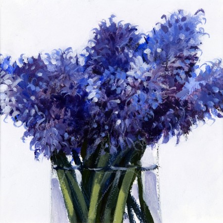 Hyacinths