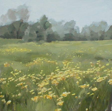 Spring in the Bloody Meadow, Tewkesbury 1