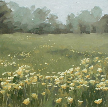 Spring in the Bloody Meadow, Tewkesbury 3