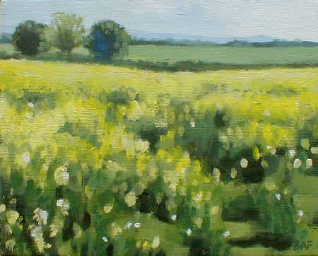 May Field